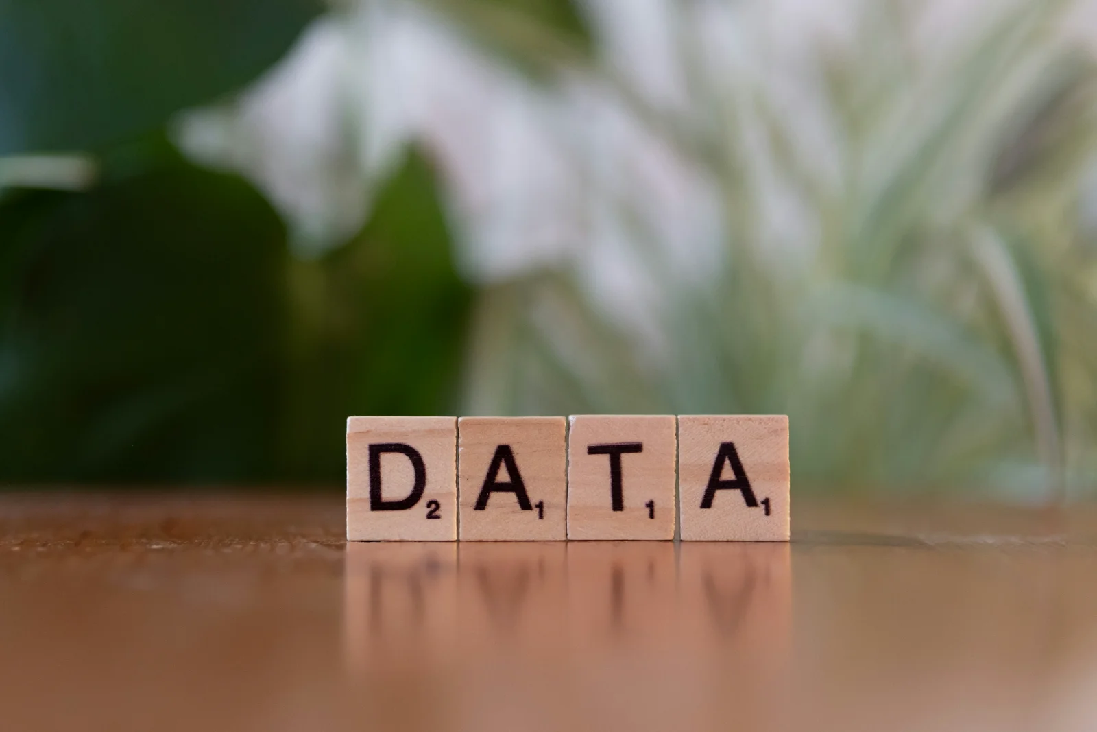 Wooden Scrabble tiles spelling the word "DATA" on a reflective tabletop, with green plants blurred in the background.